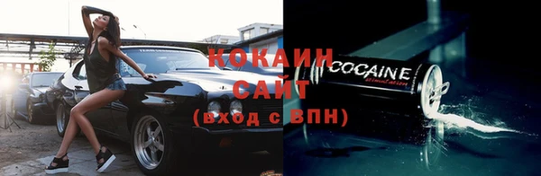стаф Абинск