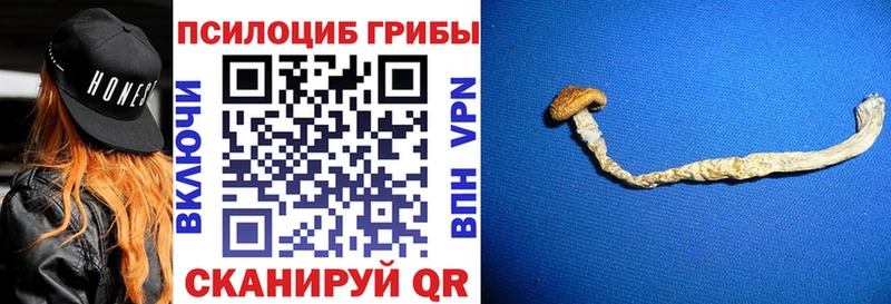 Псилоцибиновые грибы MAGIC MUSHROOMS Новая Усмань