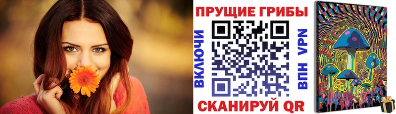 Псилоцибиновые грибы мицелий  Новая Усмань 