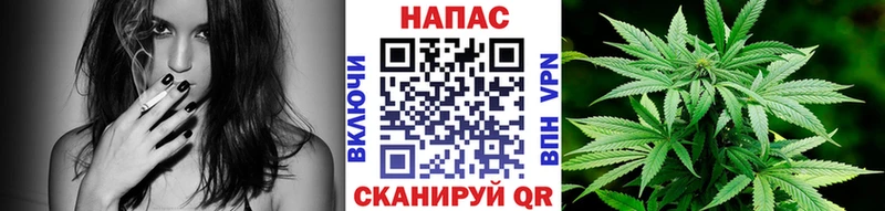 купить  сайты  kraken маркетплейс  Бошки Шишки тримм  Новая Усмань 